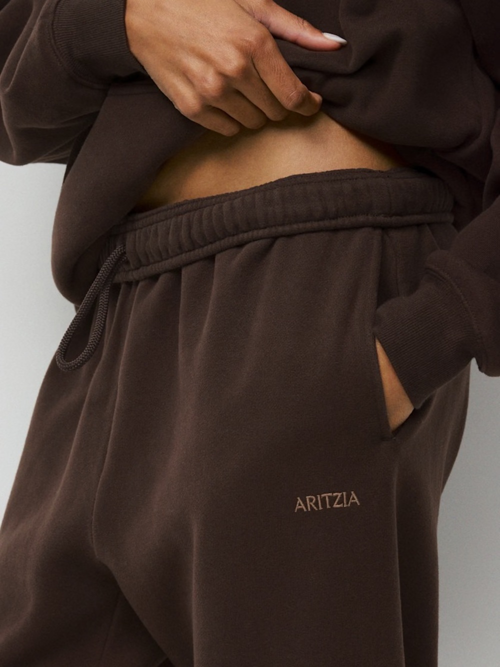 Aritzia Chocolate Brown SweatFleece Mega Joggers